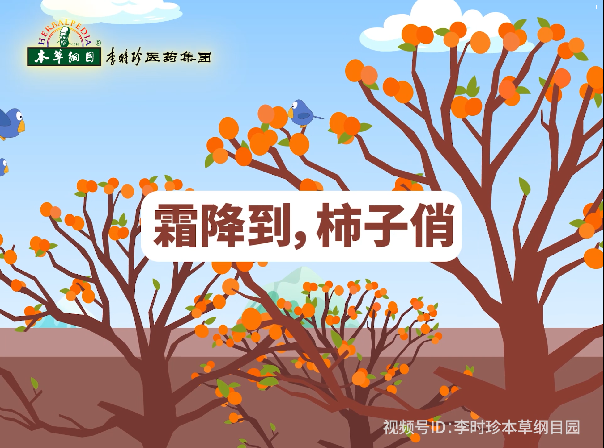 霜降到，柿子俏